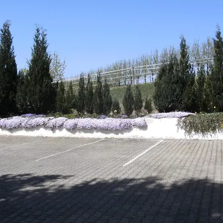 Eg Links - Hunde Erlaubt *