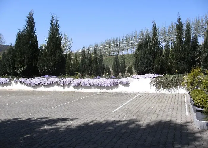 Eg Links - Hunde Erlaubt *